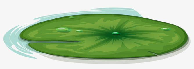 荷葉圖片免費下載_高清PNG素材_圖精靈