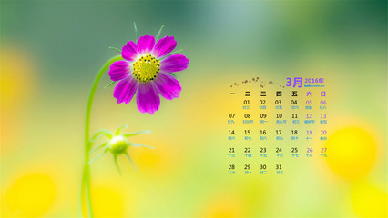 2016年3月日歷壁紙精選高清絕美風景圖-日歷壁紙-壁紙下載-美桌網