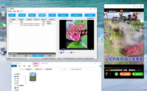 小程序視頻下載秘籍 快速掌握下載技巧與優化指南