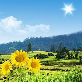 唯美矢量風景圖圖片_唯美矢量風景圖素材_唯美矢量風景圖模板免費下載