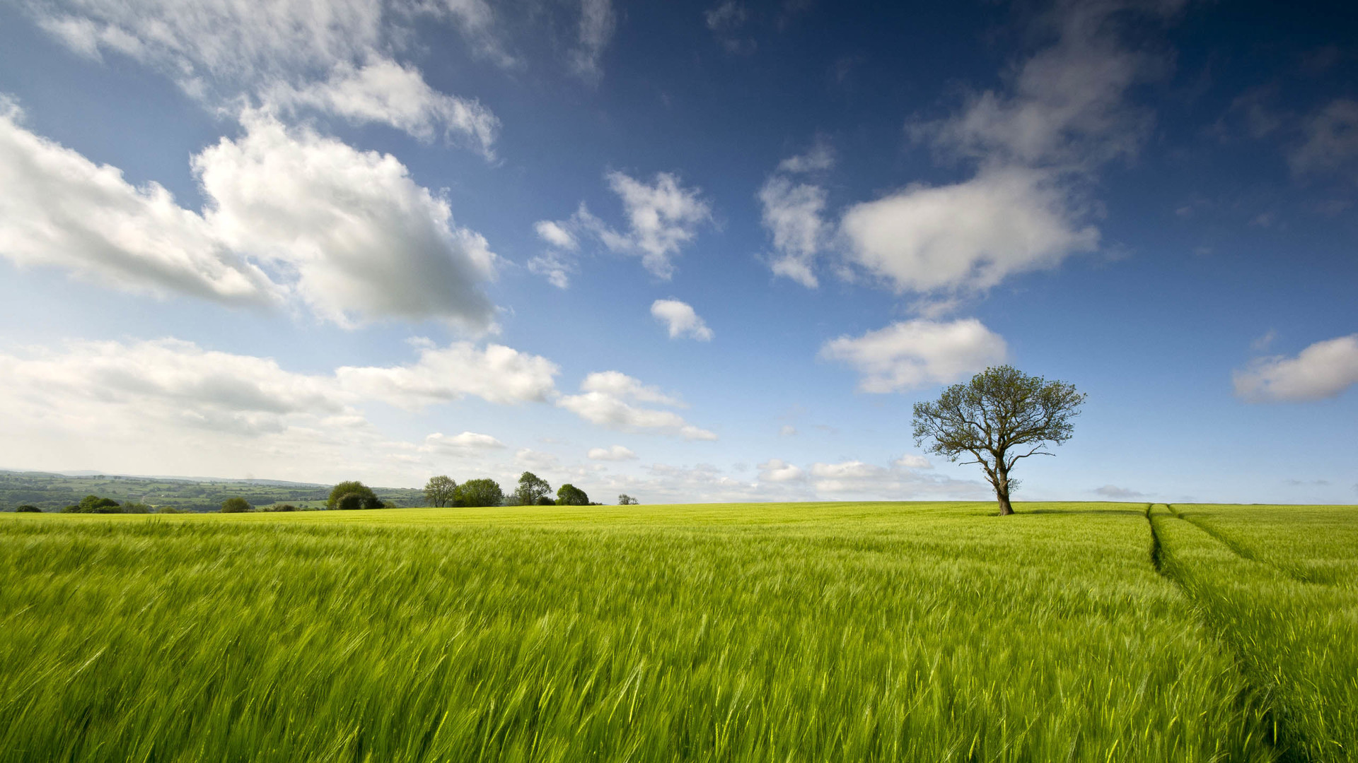 綠色護眼清新風景壁紙精選(上)高清大圖預覽1920x1080_風景壁紙下載_