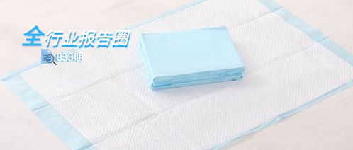 一次性衛生用品行業系列報告之二 國產成人護理龍頭公司, 可靠 的產品與未來 