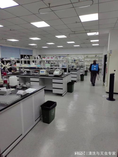 東莞工廠飯堂殺蟲費用