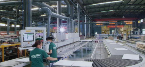 兔寶寶易裝 為夢筑家，守護孩子健康童年