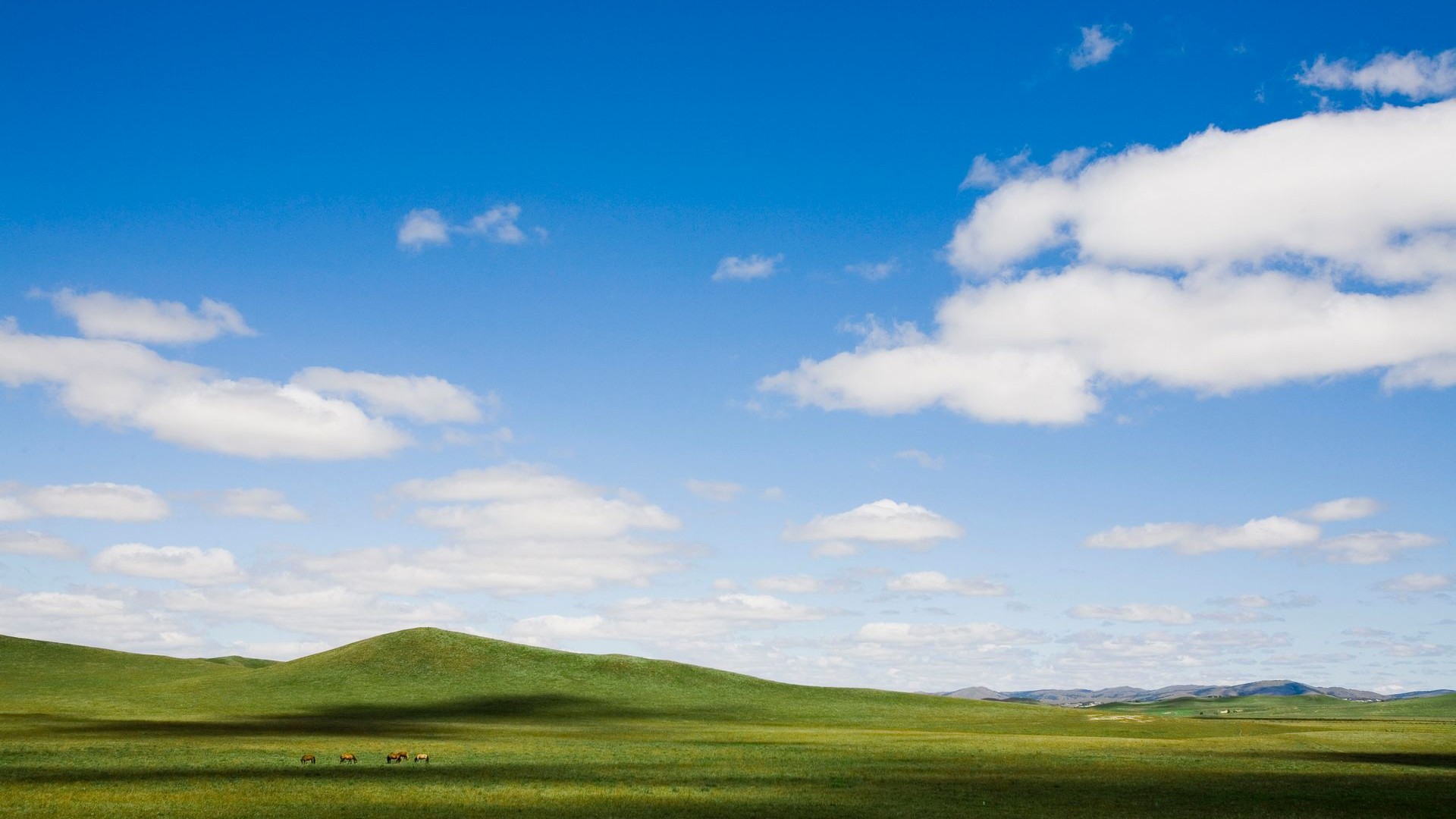 清新綠色護眼藍天草地桌面壁紙下載 | 第二輯
